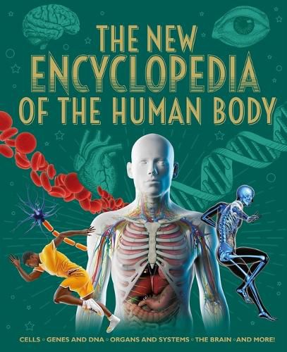 Cover image for The New Encyclopedia of the Human Body