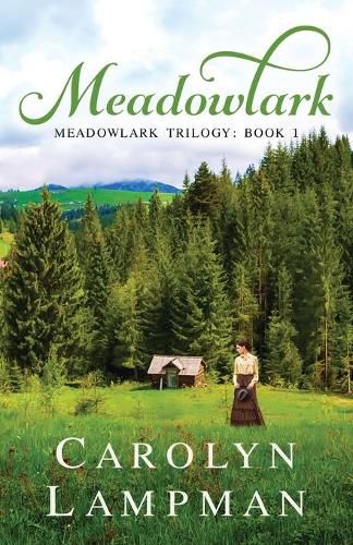 Cover image for Meadowlark: Meadowlark Trilogy Book 1