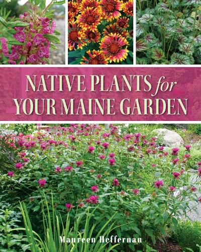 Cover image for Native Plants for Your Maine Garden