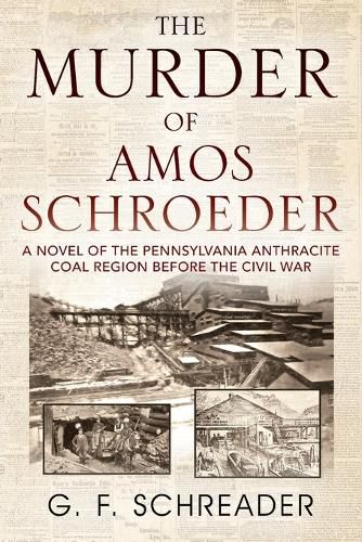 Cover image for The Murder of Amos Schroeder