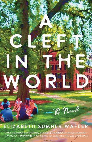 Cover image for A Cleft in the World: A Novel