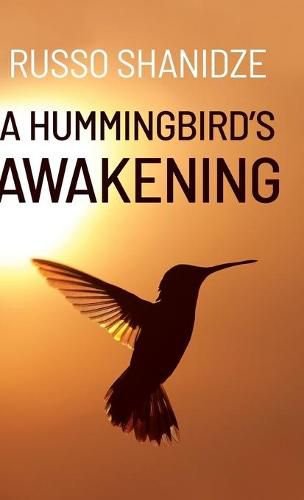 Cover image for A Hummingbird's Awakening