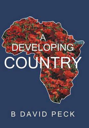 Cover image for A Developing Country