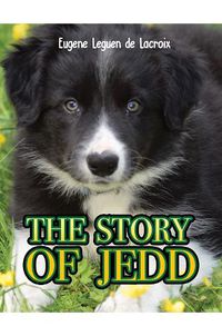 Cover image for The Story of Jedd