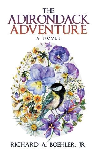 Cover image for The Adirondack Adventure
