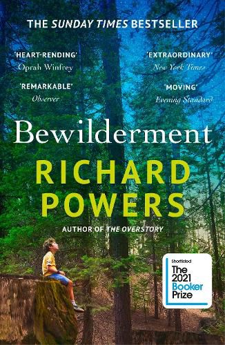 Cover image for Bewilderment