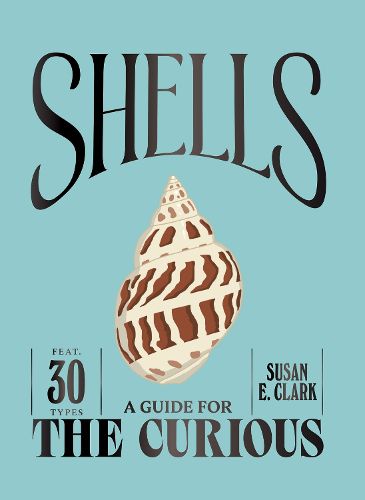 Cover image for Shells