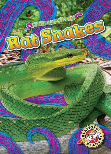 Cover image for Rat Snakes