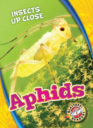 Cover image for Aphids