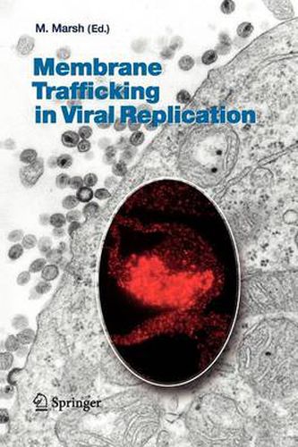 Cover image for Membrane Trafficking in Viral Replication