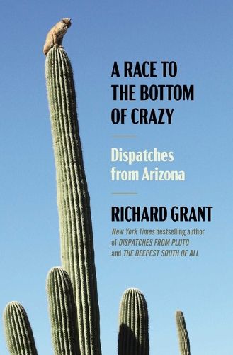 Cover image for A Race to the Bottom of Crazy