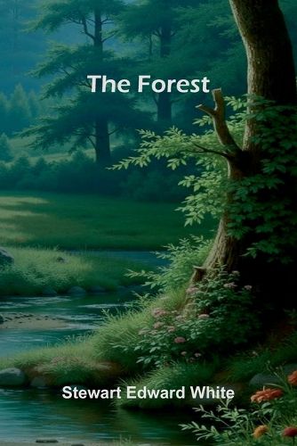 Cover image for The Faery Queen and Her Knights Stories Retold from Edmund Spenser (Edition1)