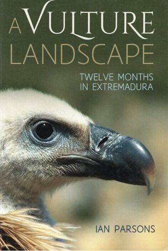 Cover image for A Vulture Landscape: Twelve Months in Extremadura