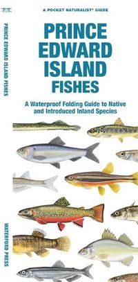 Cover image for Prince Edward Island Fishes: A Waterproof Folding Guide to Native and Introduced Species