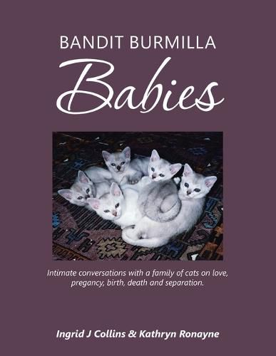 Cover image for Bandit Burmilla Babies: Intimate Conversations with a Family of Cats on Love, Pregancy, Birth, Death and Separation.