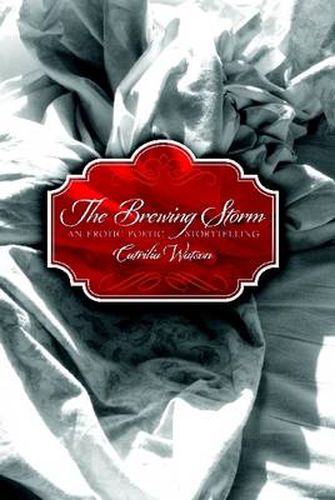 Cover image for The Brewing Storm