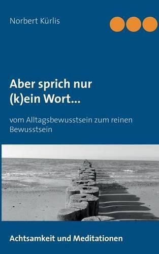 Cover image for Aber sprich nur (k)ein Wort...: Vom Alltagsbewusstsein zum reinen Bewusstsein