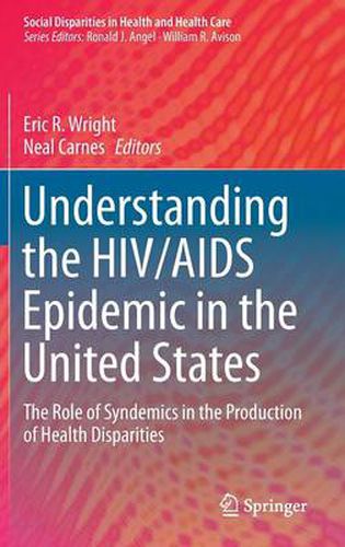 Cover image for Understanding the HIV/AIDS Epidemic in the United States: The Role of Syndemics in the Production of Health Disparities