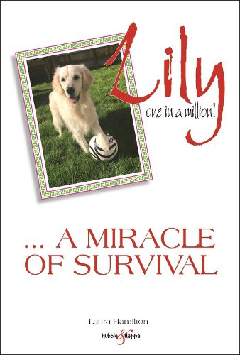 Cover image for Lily: one in a million: A miracle of survival