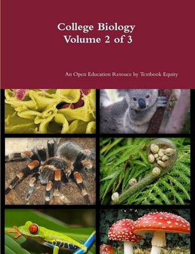 Cover image for College Biology Volume 2 of 3