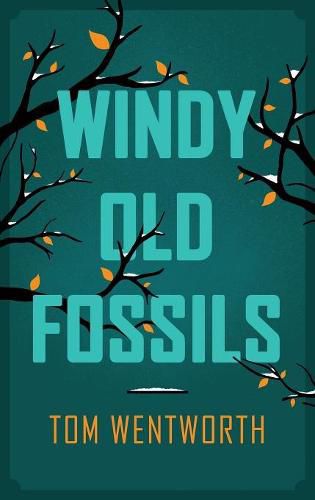 Cover image for Windy Old Fossils