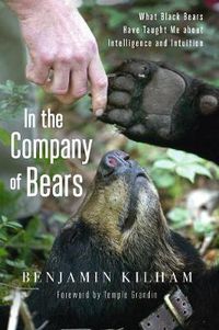 Cover image for In the Company of Bears: What Black Bears Have Taught Me about Intelligence and Intuition