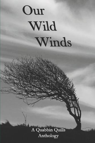 Cover image for Our Wild Winds