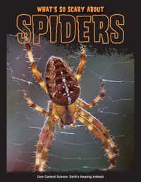 Cover image for What's So Scary about Spiders?