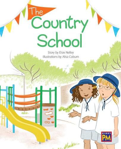 Cover image for The Country School: Leveled Reader Orange Level 15