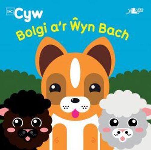 Cyfres Cyw: Bolgi a'r Wyn Bach