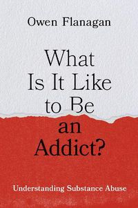 Cover image for What Is It Like to Be an Addict?