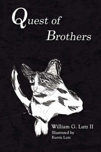Cover image for Quest of Brothers