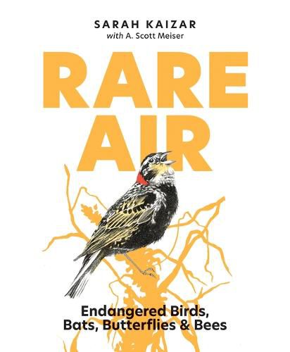 Cover image for Rare Air