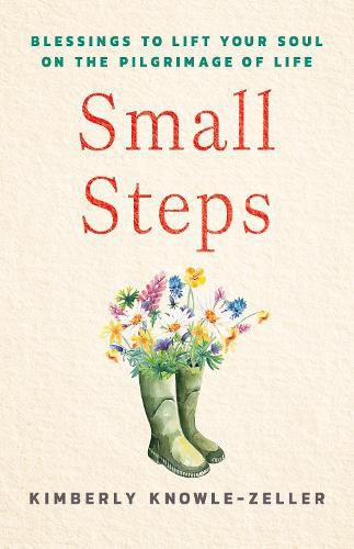 Cover image for Small Steps