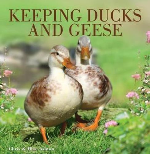 Cover image for Keeping Ducks and Geese