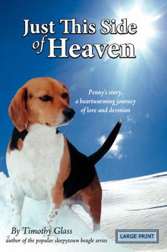 Cover image for Just This Side of Heaven