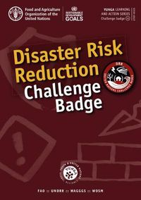 Cover image for Disaster risk reduction challenge badge