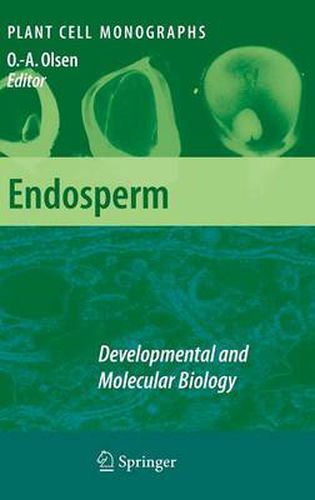 Cover image for Endosperm: Developmental and Molecular Biology