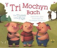 Cover image for Tri Mochyn Bach, Y / Three Little Pigs, The