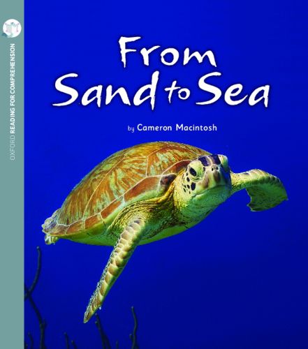 Cover image for From Sand to Sea: Oxford Level 5: Pack of 6