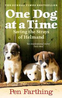 Cover image for One Dog at a Time: Saving the Strays of Helmand - an Inspiring True Story