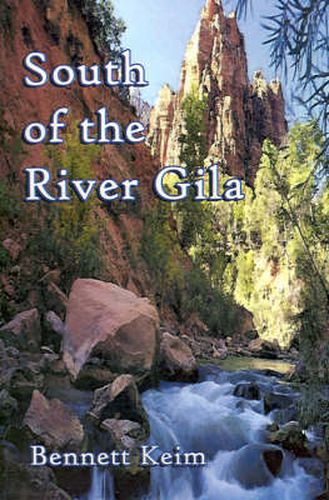 Cover image for South of the River Gila
