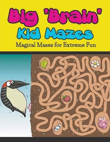 Cover image for Big Brain Kid Mazes: Magical Mazes for Extreme Fun