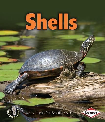 Cover image for Shells