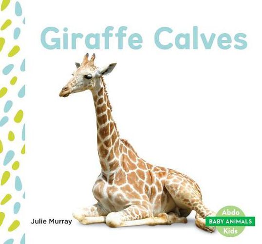 Cover image for Giraffe Calves