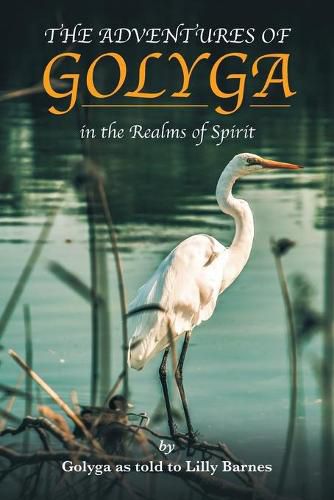 Cover image for The Adventures of Golyga: In the Realms of Spirit