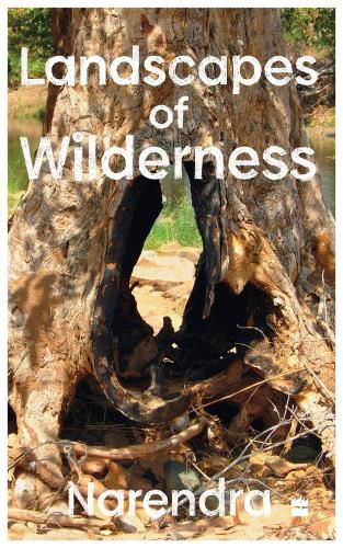 Cover image for Landscapes Of Wilderness