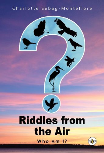 Cover image for Riddles from the Air