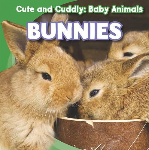 Cover image for Bunnies