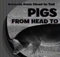 Cover image for Pigs from Head to Tail